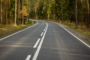 Black asphalt road, single lane in the middle of green coniferous forest - early spring