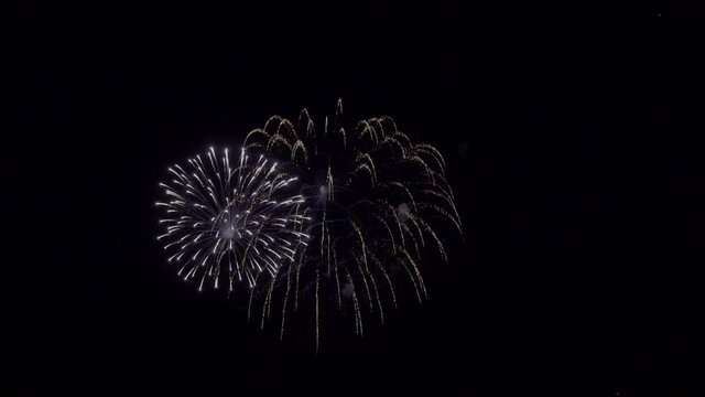 Fireworks on a Black Background