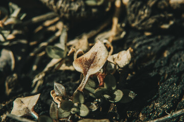 Macro Photos and more of other things