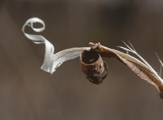 Macro Photos and more of other things