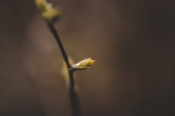 Macro Photos and more of other things