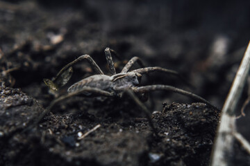 Macro Photos and more of other things