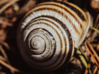 Macro Photos and more of other things