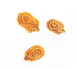 Momordica plant seeds isolated on white background