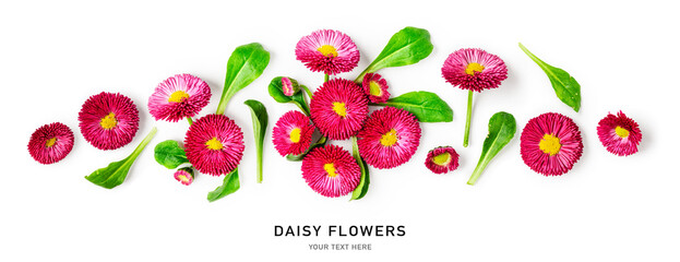 Pink daisy flowers creative banner