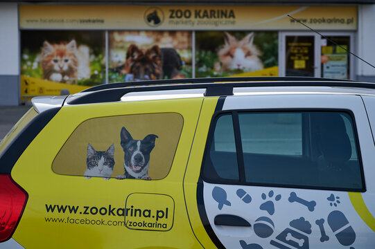 Gdynia, Poland -  pet animal company shop and company cars