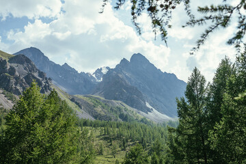 Sunny scenery with great sharp mountain top above forest in frame from branches and conifer trees. Scenic mountain landscape with high mountain pinnacle and snowy mountains above coniferous forest.
