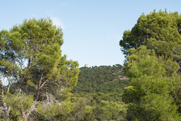 Fototapeta na wymiar Climbing the Aguiló tower in Alicante (Spain).