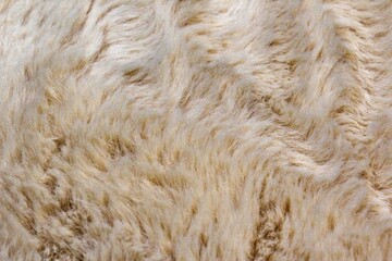 Light white long fiber soft fur. White fur for background or texture. Fuzzy white fur plaid. Shaggy blanket background. Fluffy fake textile fur. Flat lay, top view, copy space