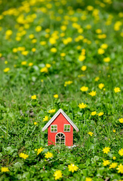Little House On Meadow With Yellow Flowers In Spring Time