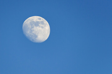 Naklejka na ściany i meble Full moon rising during spring evening with blue sky