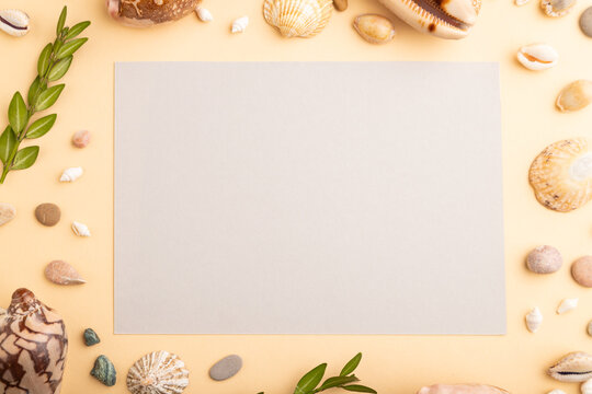 Composition with gray paper sheet, seashells, pebbles, green boxwood. mockup on orange background. top view, copy space.