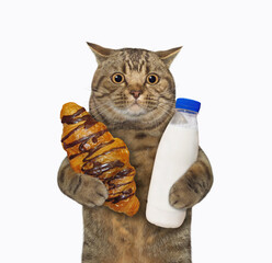 A beige cat is holding a chocolate croissant and a bottle of milk. White background. Isolated.