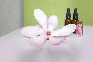 essential oils, beautiful pink magnolia flower, smooth white stones, rolled up white towel, concept of wellness spa treatments for the beauty of mind and body, natural medicine