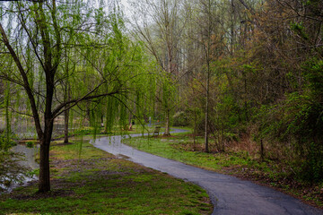 Obraz premium A Winding Hiking Path