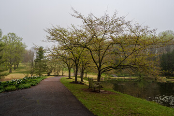Obraz premium Hiking Path by a Pond
