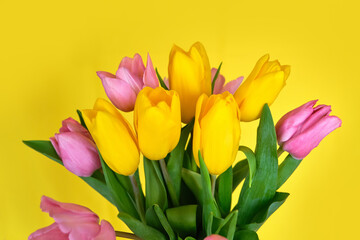 Obraz premium Spring flowers, bouquet of pink tulips on yellow background copy space.