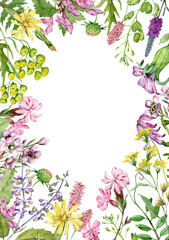 Watercolor wildflowers frame. Field flowers template. Meadow herbs and flowers.