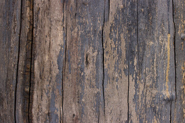 Old wood bark texture background image 