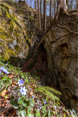Teufelsküche im Allgäu