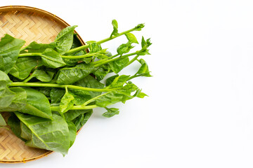 Ceylon Spinach leaves on white background.