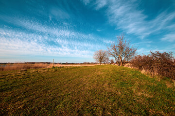Obraz premium Natural park in Denmark