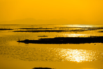 Migratory birds fly over the water in the wetlands at sunset. Poyang Lake, Jiangxi Province, China.