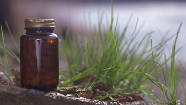 Supplements, vitamins and natural health products packaging - copy space.  A package of natural supplements against the background of blurry nature.