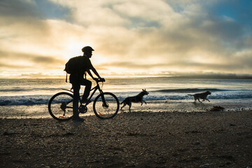 Fototapeta na wymiar Silhouette image of a cyclist riding along the Milford beach with Rangitoto Island in the clouds and two dogs playing on the beach