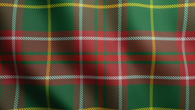Newfoundland tartan geometric seamless looped pattern. Canada tartan waving surface motion graphic