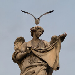 oiseau sur la tête d'une statue