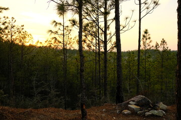 This is a photo of the sunset in Kisatchie National Forest Backbone Trail in Louisiana.