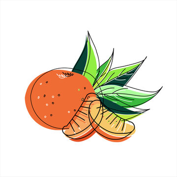 orange fruit with green leaves clip art preview