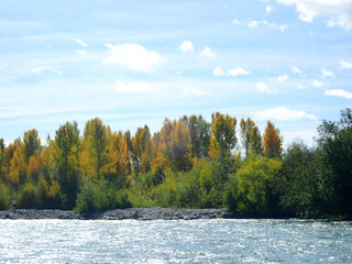Naklejka na ściany i meble Mountain and river with Fall trees