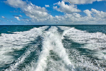 Cuba. Varadero. Stayed astern Dolphinarium at Rancho Cangrejo