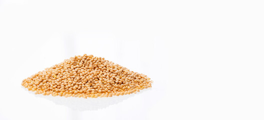 Organic white millet seeds - Healthy Cereal