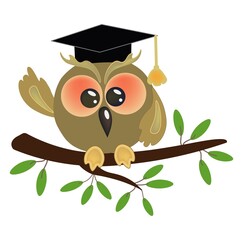 Illustration of a cartoon wise owl with graduation cap presenting. Vector isolated design on white background.