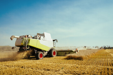 Obraz premium Combine harvester harvests ripe wheat. Concept of a rich harvest. Agriculture image