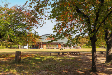 紅葉に彩られた秋の大阪城西の丸庭園