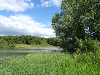 Lots of green grass and a river. Blue sky and clouds. Summer sunny day