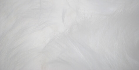 Textura de superfície fofa em pêlo macio branco