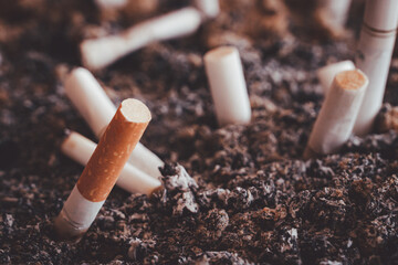 Many cigarette butts were left in an ashtray and filled with cigarette ash. Large number of smoking is harmful to one's health and others.