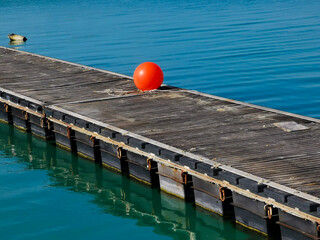 Boa arancione sul pontile di legno in una giornata di sole