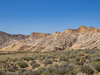 Fototapeta na wymiar Sunny landscape of the Snow Canyon State Park