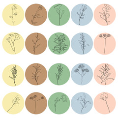Set of minimal botanical vector highlight covers. Herbal backgrounds. Hand drawn flowers, branches, leaves. Floral logo.  Round icons for social media stories. Templates for bloggers.