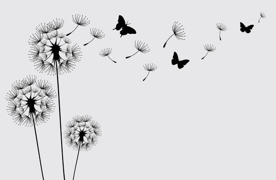 Dandelion with flying butterflies and seeds, vector illustration. Vector isolated decoration element from scattered silhouettes