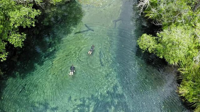DRONE AERIAL IMAGE TWO WOMEN FLOATING RIO DAPRATA FOREST IN BEAUTIFUL BRAZIL PANTANAL