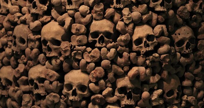 Skulls and bones in a wall