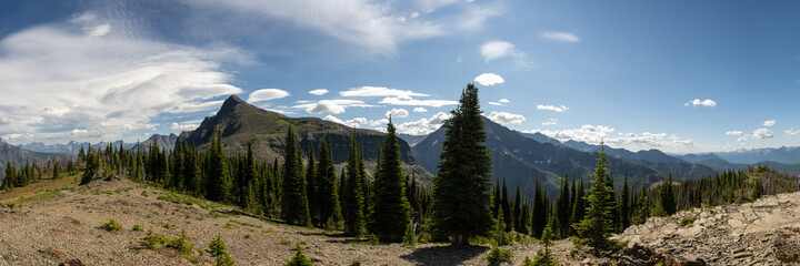 Panorama from Mt. Brown Fire Tower Lookout
