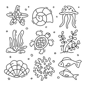A set of vector contour drawings on an isolated background. Underwater world, seashells,algae, turtles, corals. Illustrations for background, pattern, stickers, prints, and sea postcards.